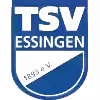 TSV埃辛根